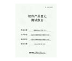 Software Testing Report